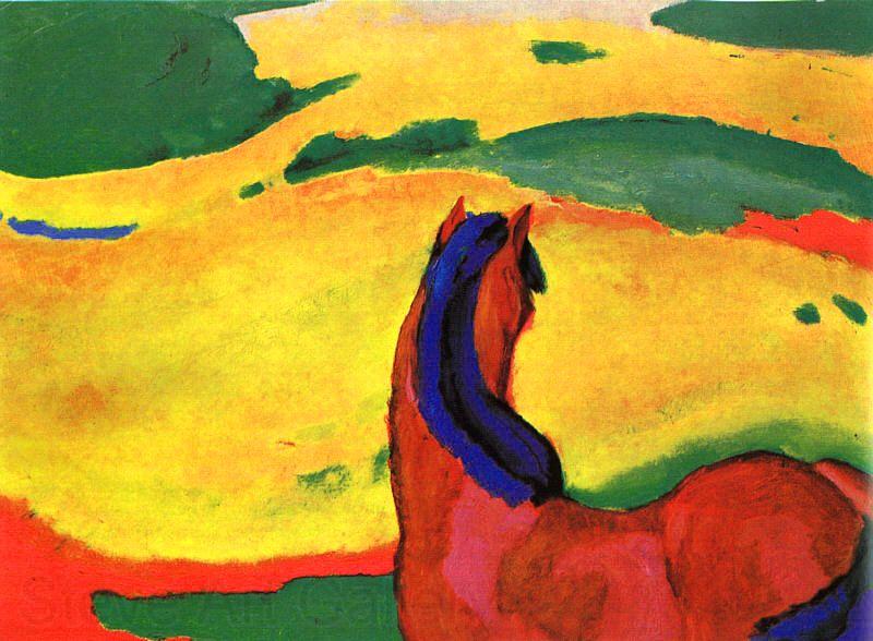 Franz Marc Horse in a Landscape Norge oil painting art
